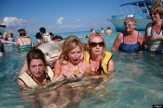 stingray photobomb