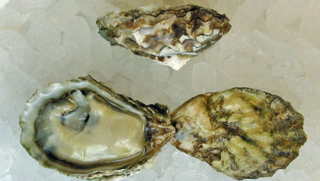 West Coast Oysters: A Guide To Origin, Flavor And How To Eat Them ...