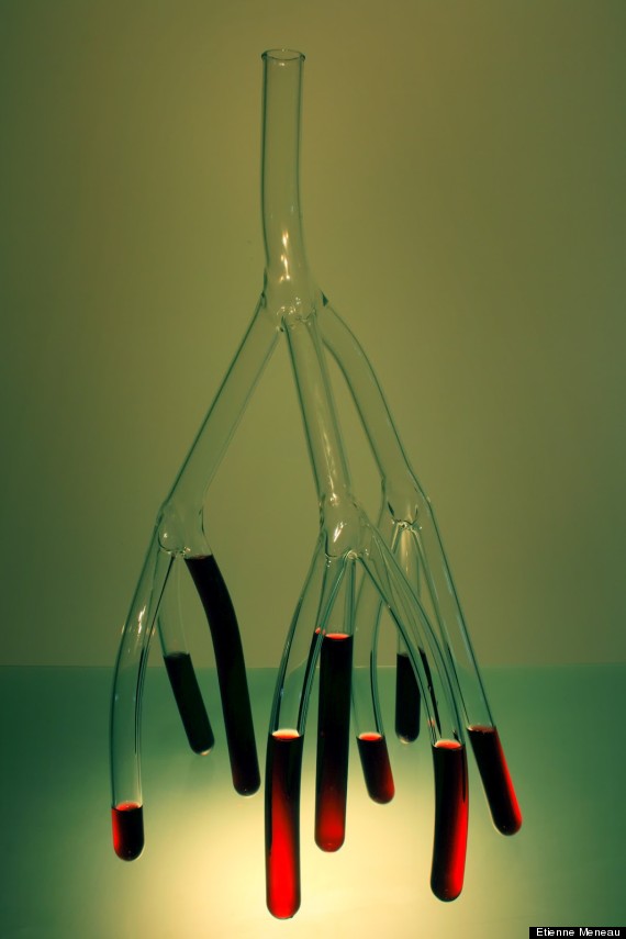 wine vein carafe