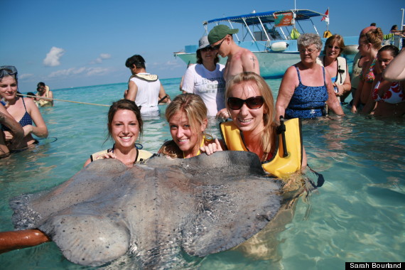 stingray photobomb before