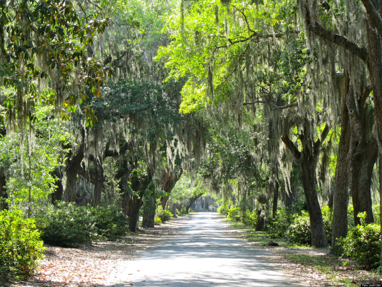 Savannah, Georgia Cemetery Tours: A Thoughtful Halloween Tradition ...