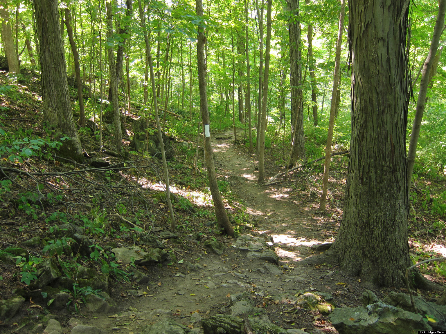 The Appalachian Trail, America's Smallest Massive Achievement (PHOTOS ...