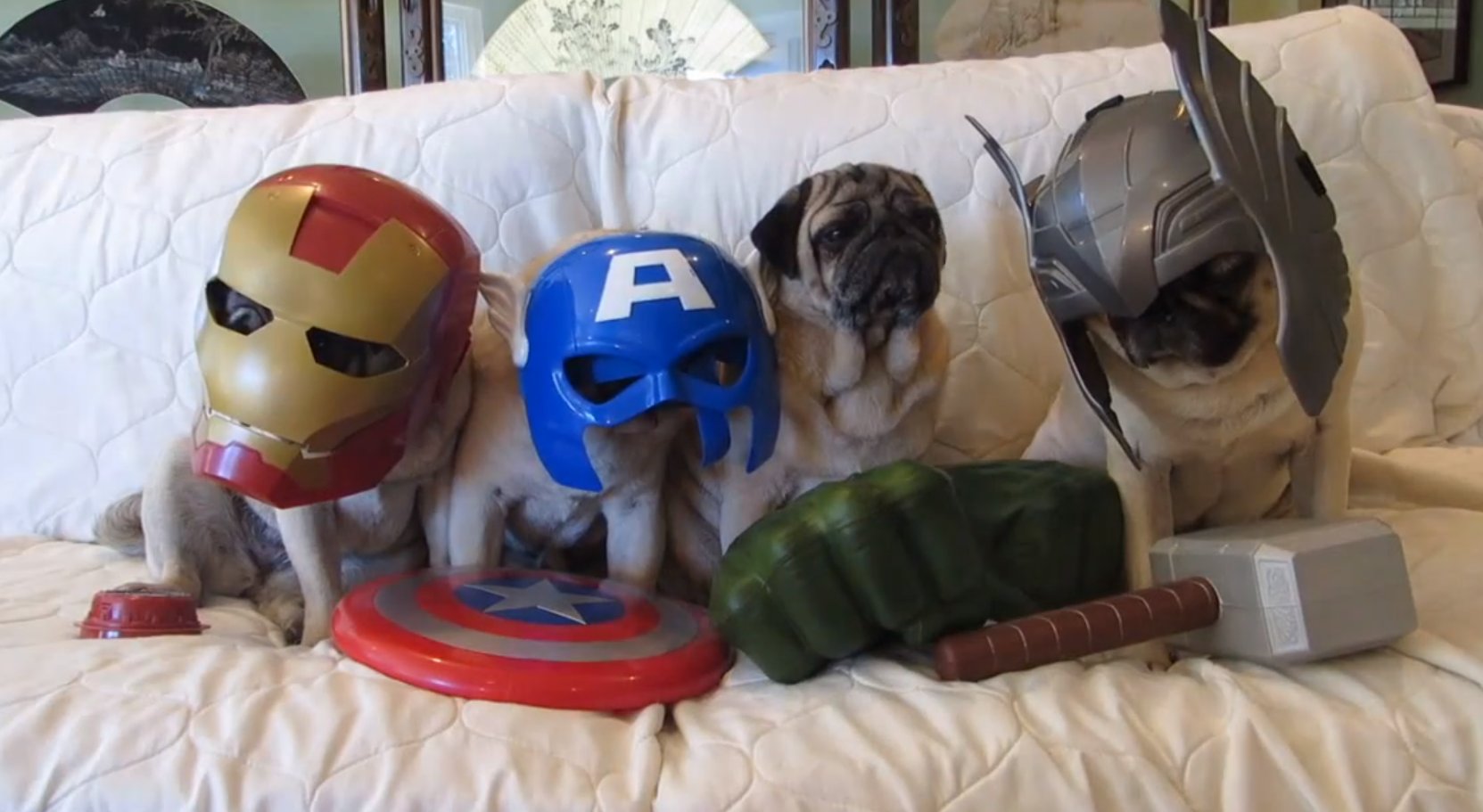 pug avengers