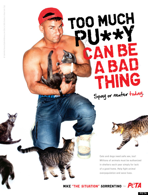 the situation peta