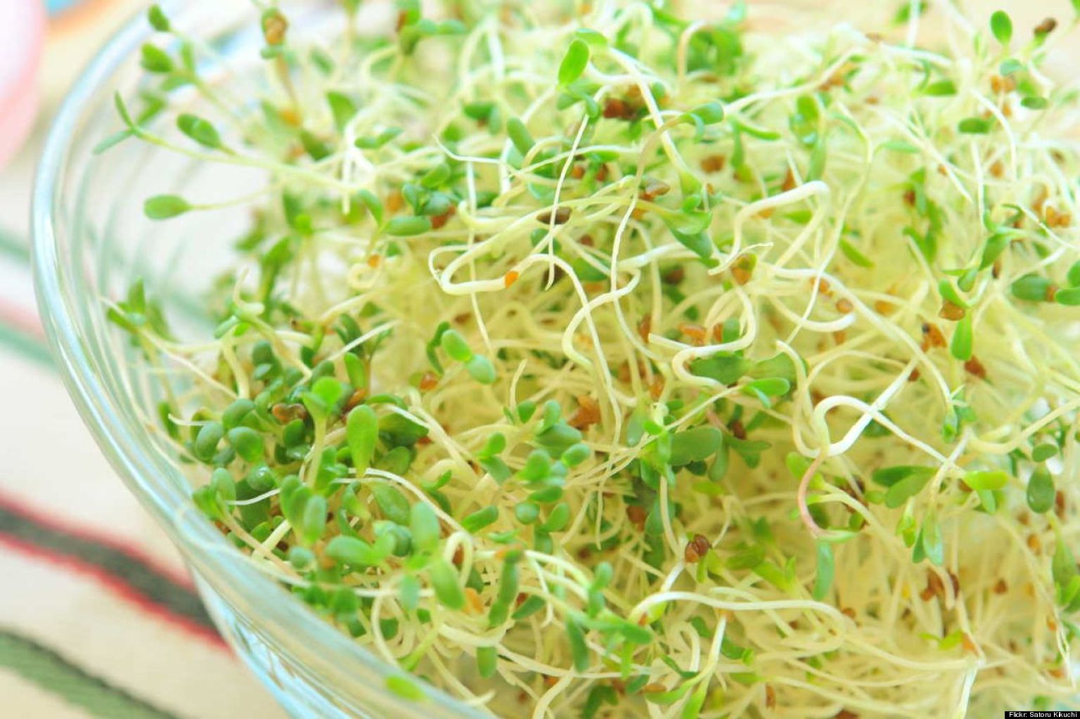 Kroger: Sprouts Are Too Unsafe To Be Sold | HuffPost