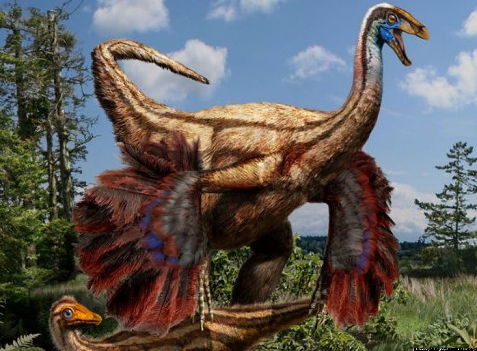 Ostrich Dinosaurs: Feathered Ornithomimid Fossils Support Dino Mate ...