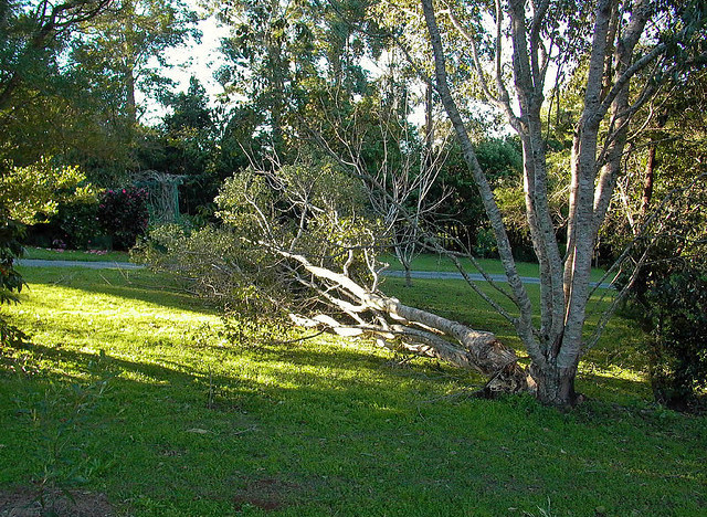 hurricane sandy cleanup