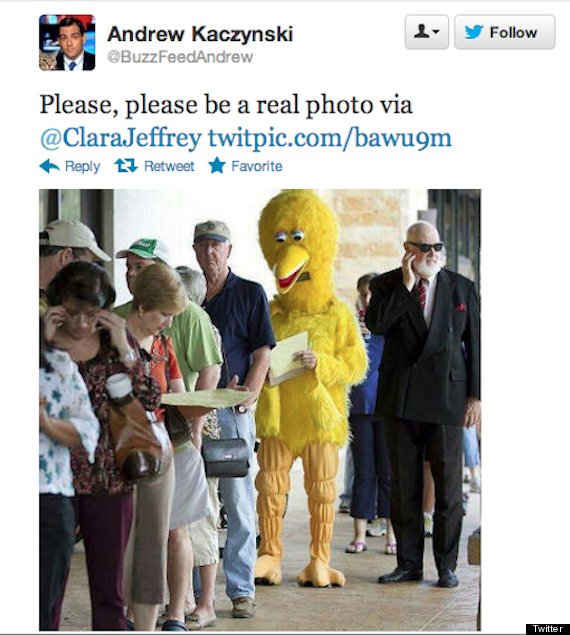 big bird votes