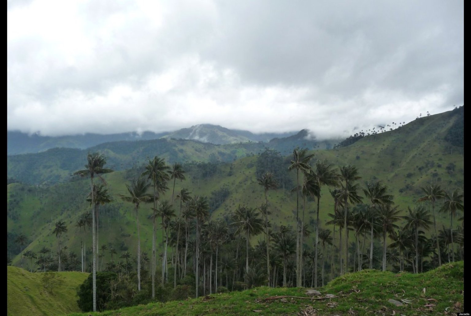 Colombia's Coffee Triangle Has A Lush Appeal (PHOTOS) | HuffPost