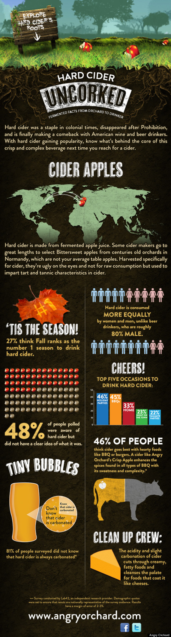 cider infographic