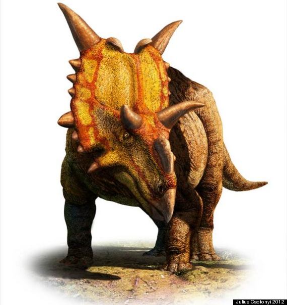 xenoceratops horned dinosaur