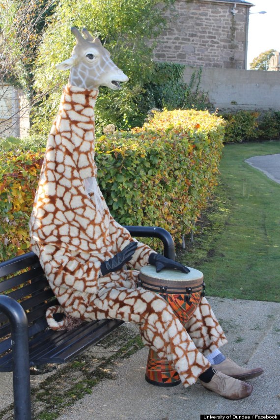 good giraffed dundee scotland