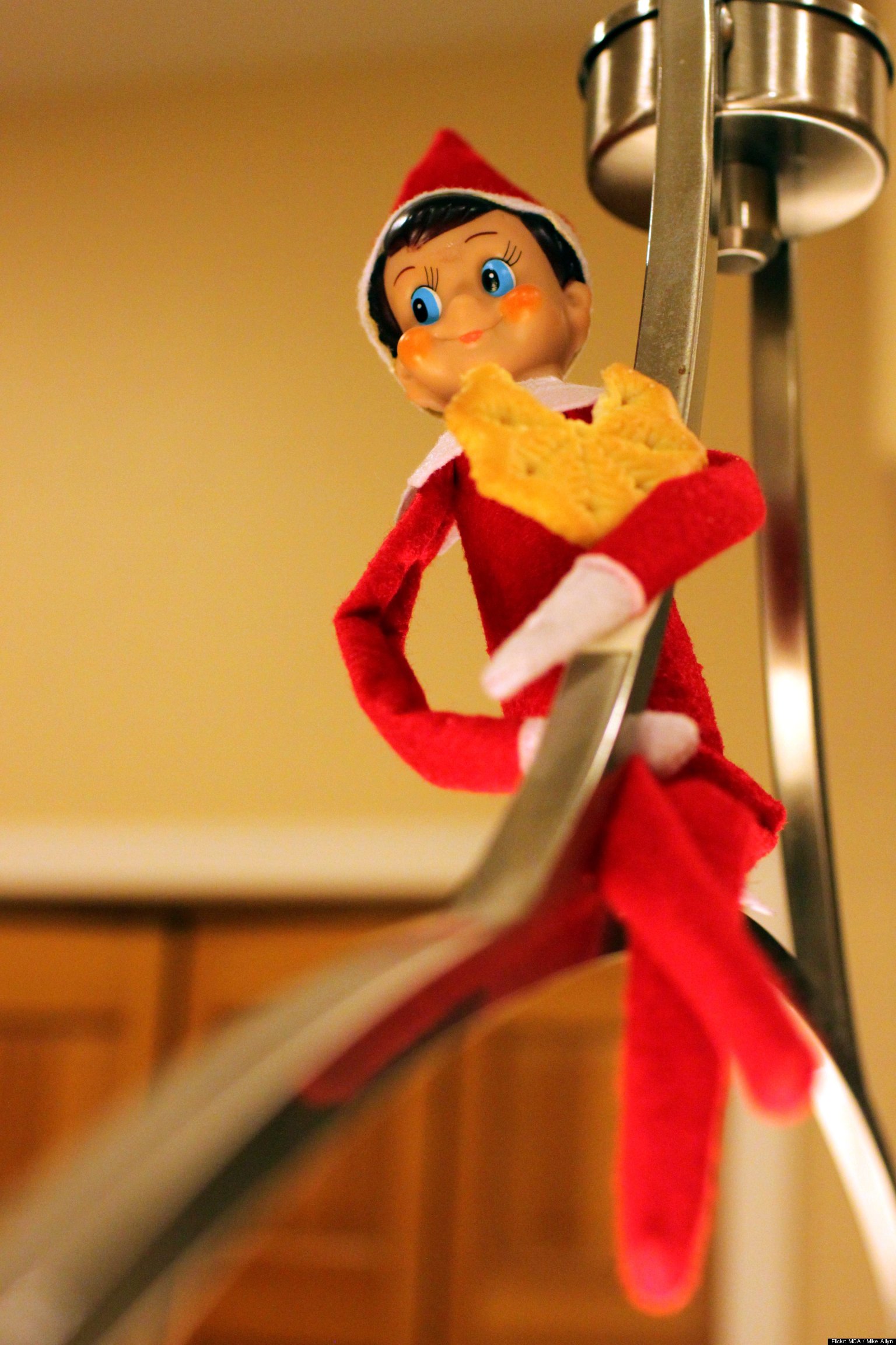The Elf Went for a Drink | Abbie Rumbach