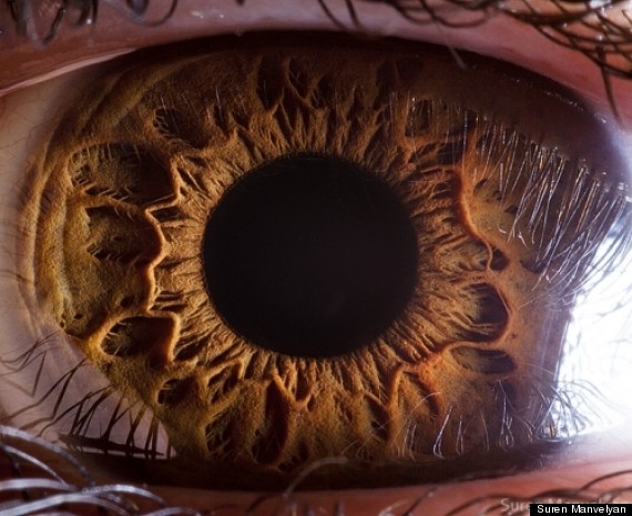 human eyes photographs