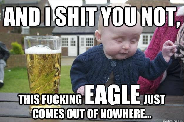 eagle baby meme