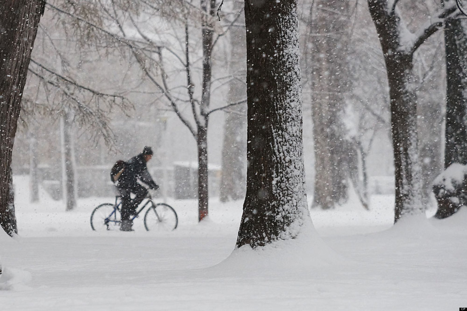 Quebec Snow Storm: Residents Gradually Regaining Power After Winter Storm