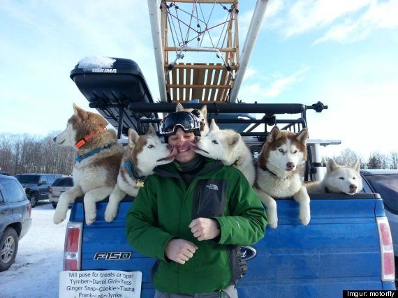 sled dogs lick mans face