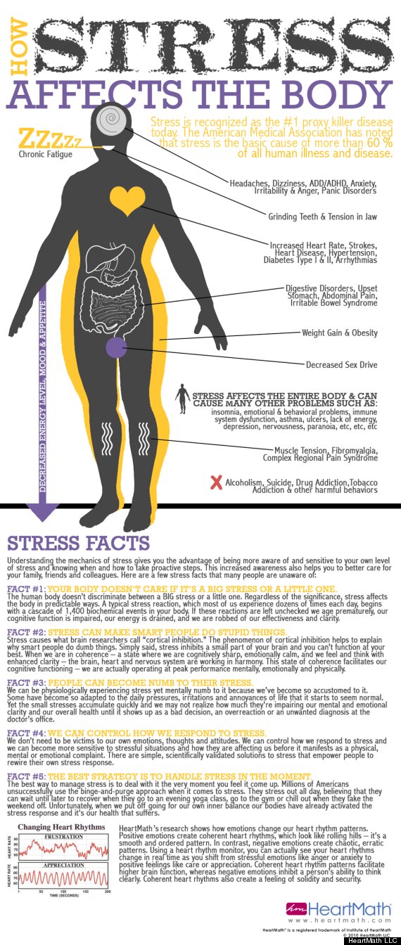 stress infographic
