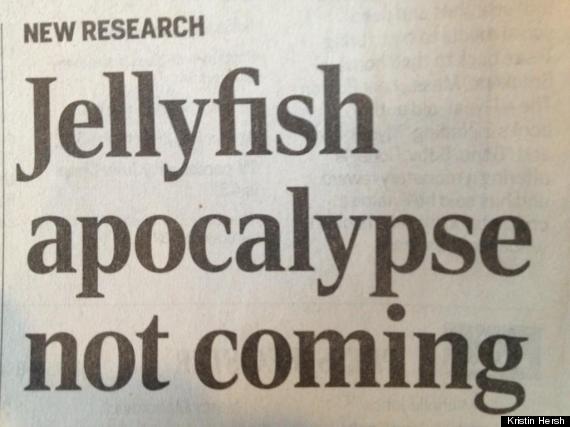 jellyfishapocalypse