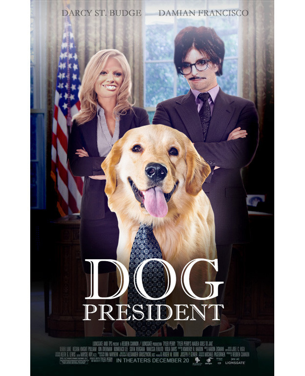 dogpresidenttinafeyamypoehler