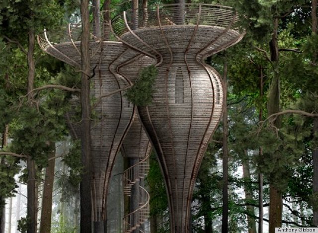 roost treehouse