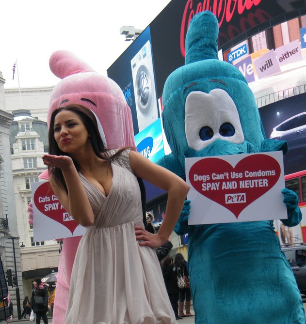 condom lacey banghard