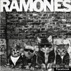 kitten ramones album cover