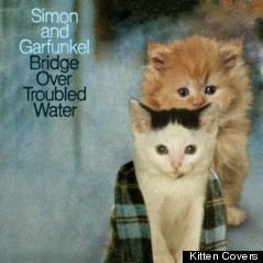 simon garfunkel kitten