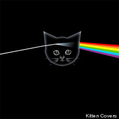 kitten floyd cover