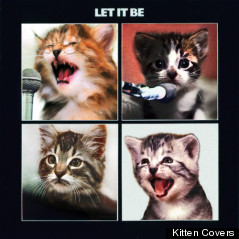 beatles cover kittens