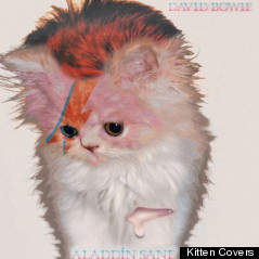 david bowie cover kitten
