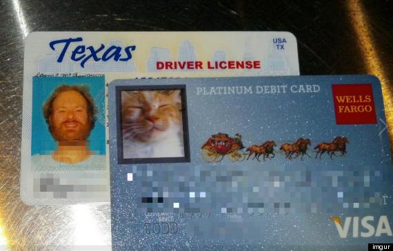 wells fargo cat card