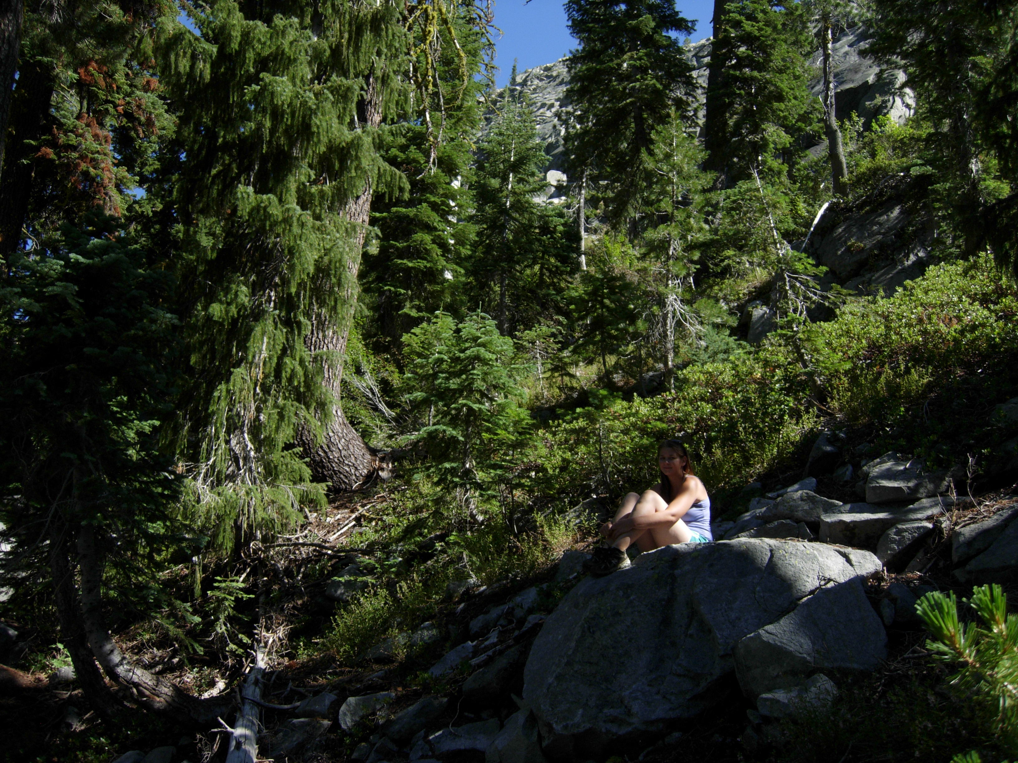 trinity alps